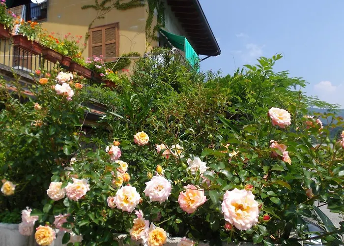 Il Giuggiolo Bed & Breakfast Calco  photo
