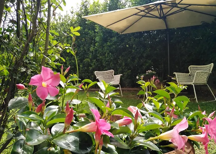 Bio B&B Vivere La Vita Polpenazze del Garda photo