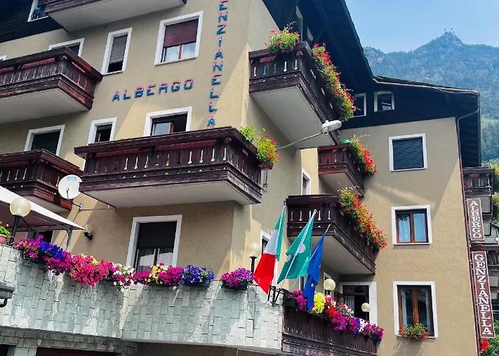 Hotel Genzianella Chiesa in Valmalenco photo
