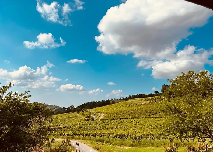 foto di Appartamento Il vecchio granaio Ruino