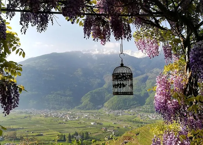 Ferienwohnung Casa Il Glicine Valtellina Tresivio Foto