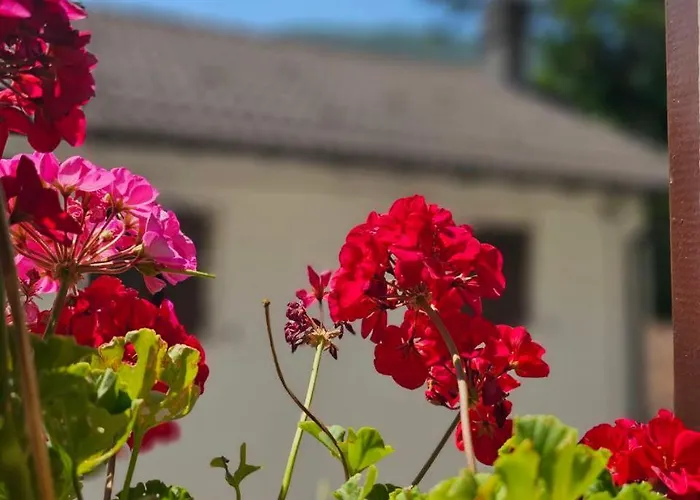 Rustico Leonardo - La Dolce Vita Italiana Sant'Omobono Imagna Foto