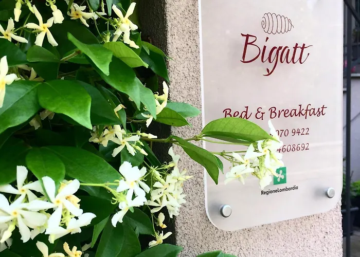 Bigatt Bed & Breakfast Vanzago φωτογραφία