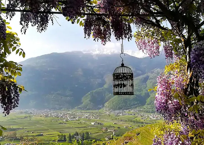 Фото Апартаменты Casa Il Glicine Valtellina Tresivio