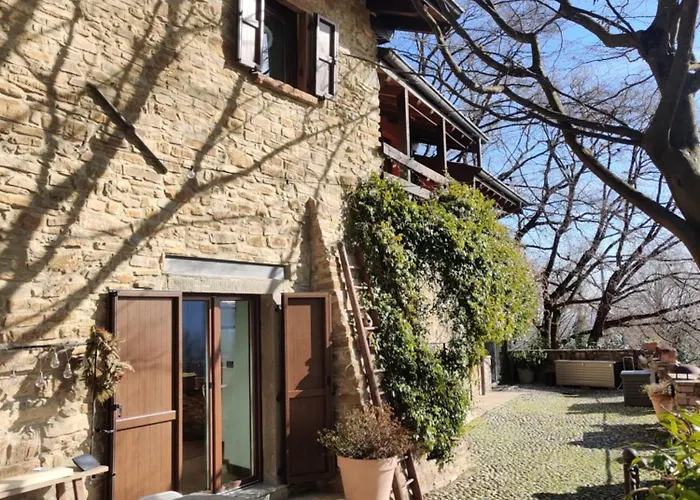 La Cantina Dell'Artista Palazzago foto